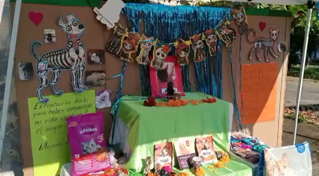 Activistas y protectoras de animales instalan altar de muertos para mascotas en Coatzacoalcos
