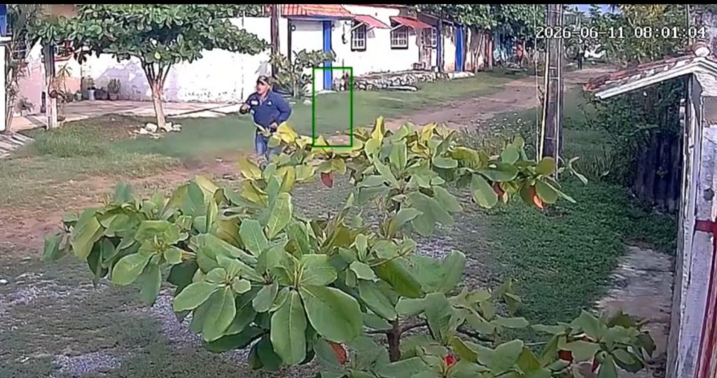 Detienen a presunto ladrón tras persecución en la colonia Trópico de la Rivera en Coatzacoalcos